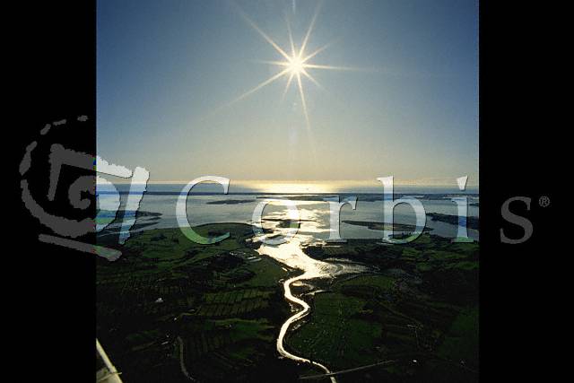 Newzealand2.jpg